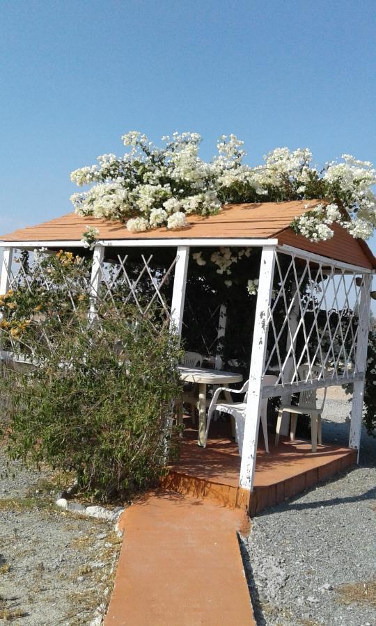 Mersinera Paradise Garden Stars House Ларнака Екстер'єр фото